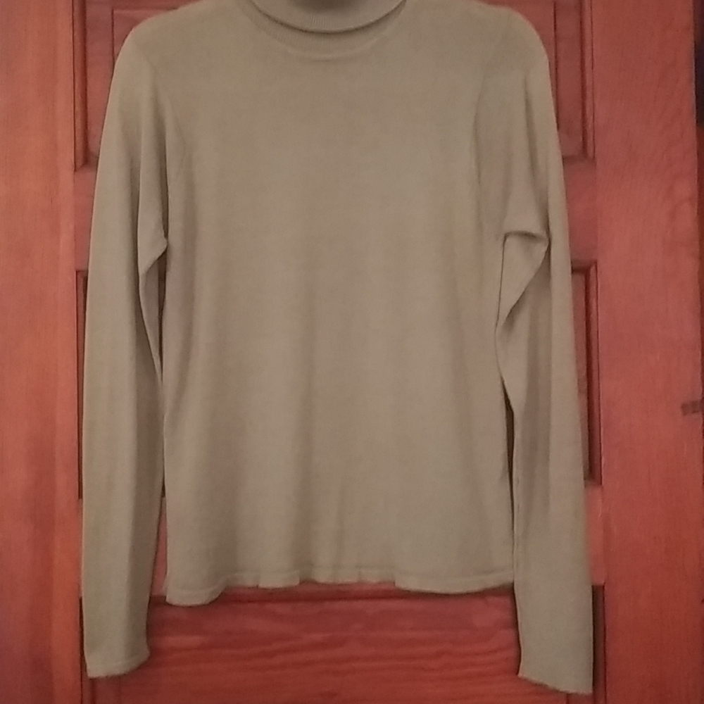 Silk Turtleneck Sweater